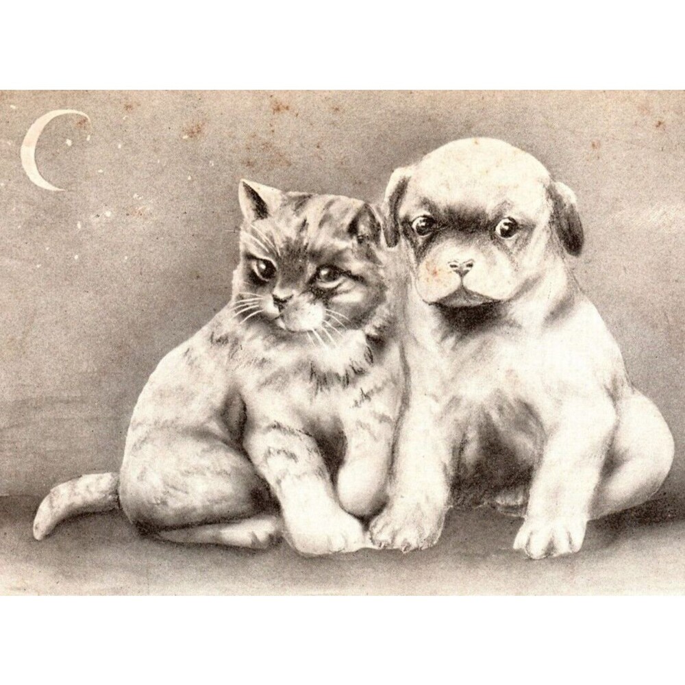 Cute Puppy Dog and Cat Posing By Crescent Moon 1909 V Colby Signed Postcard
